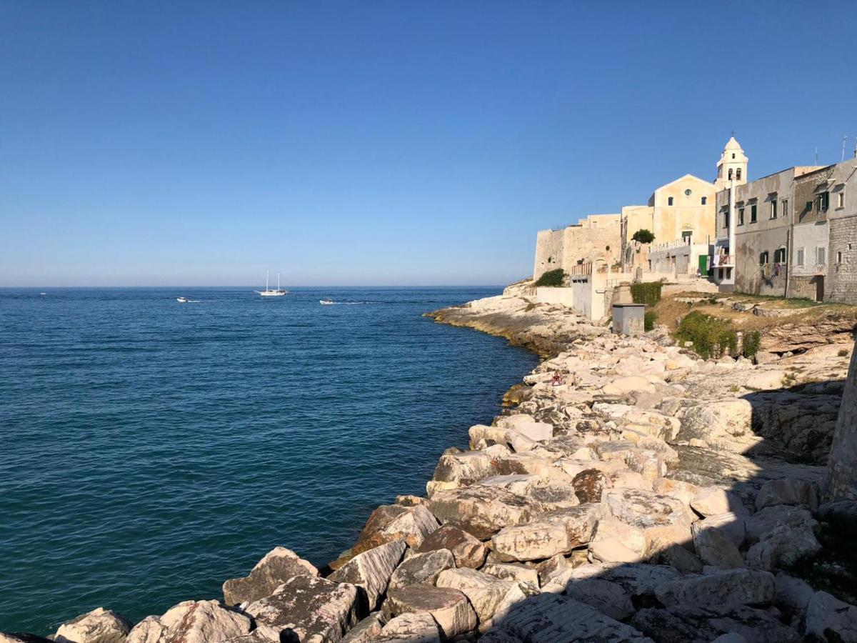 Rocca Sul Mare Hotel Vieste Buitenkant foto