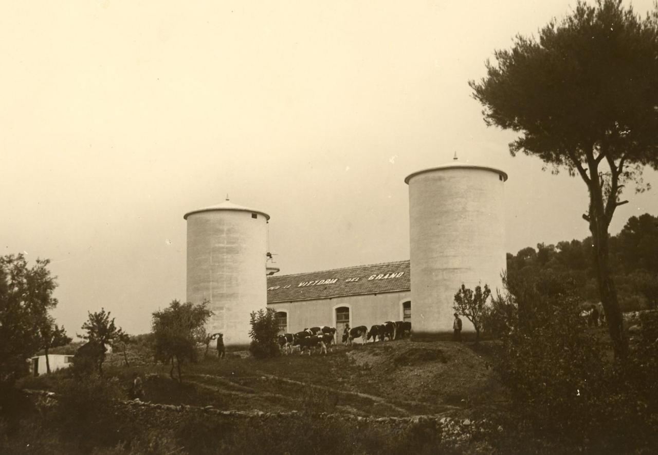 Rocca Sul Mare Hotel Vieste Buitenkant foto