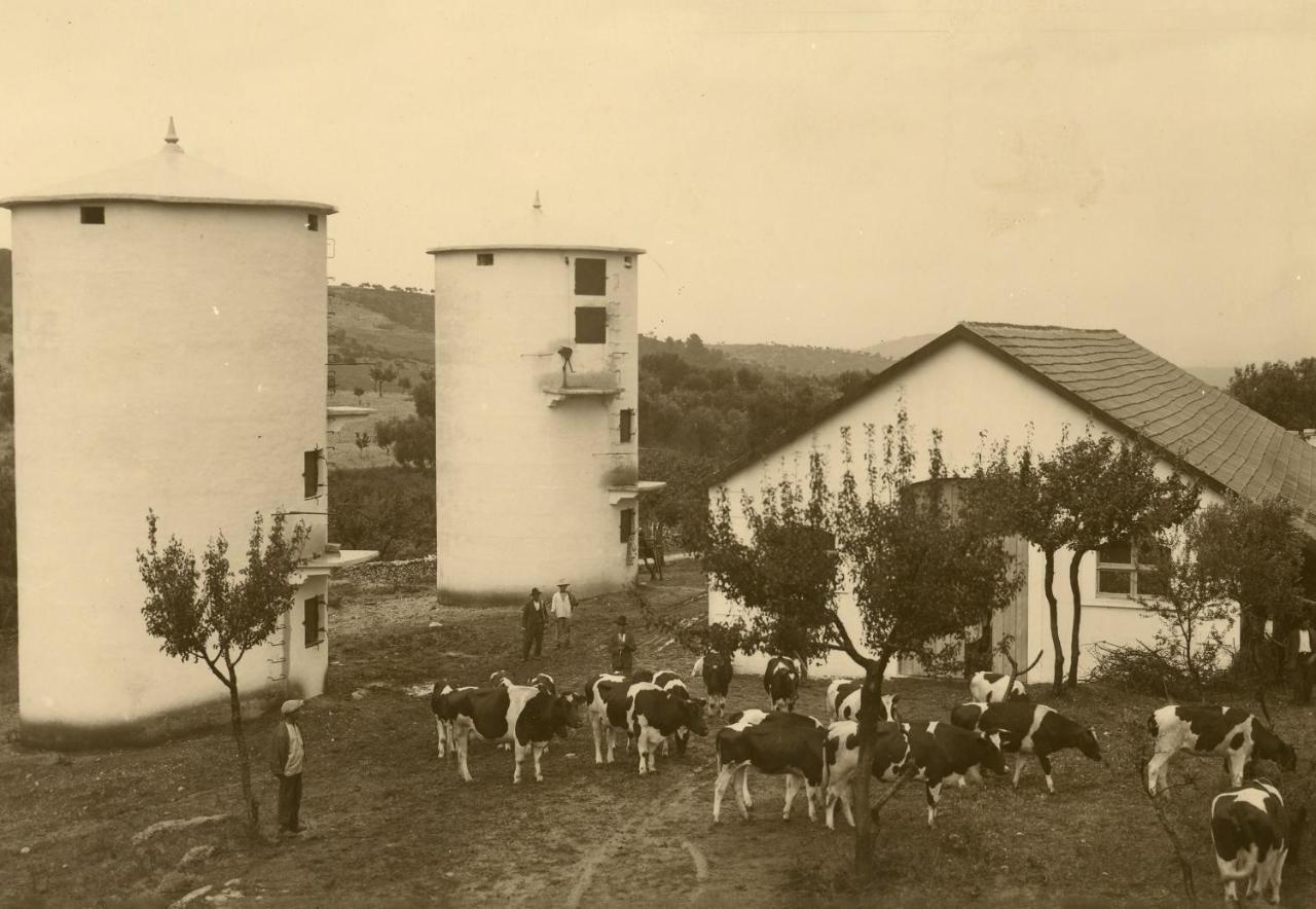 Rocca Sul Mare Hotel Vieste Buitenkant foto